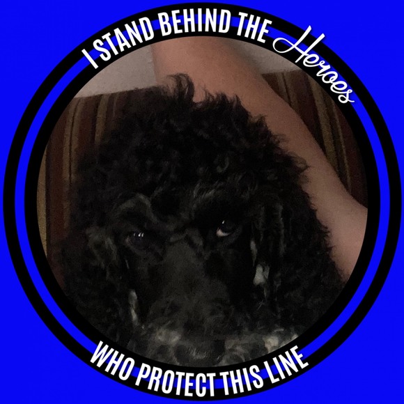 Meet your Posher, Carrie - Picture 1 of 1